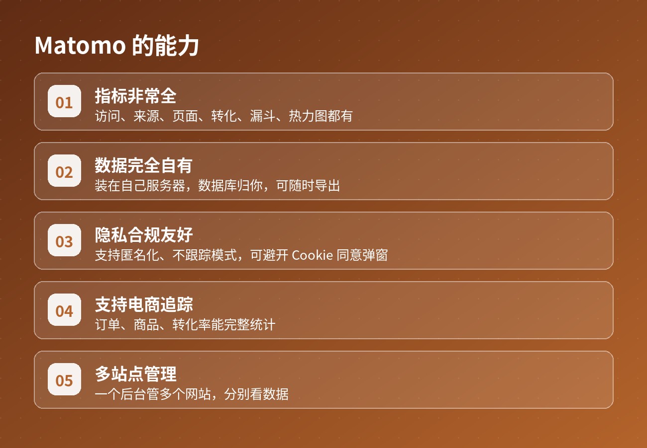 Matomo 的能力