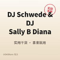 [Electro] DJ Schwede & DJ Sally B Diana DJ Schwedes 'Electro' Club Mix